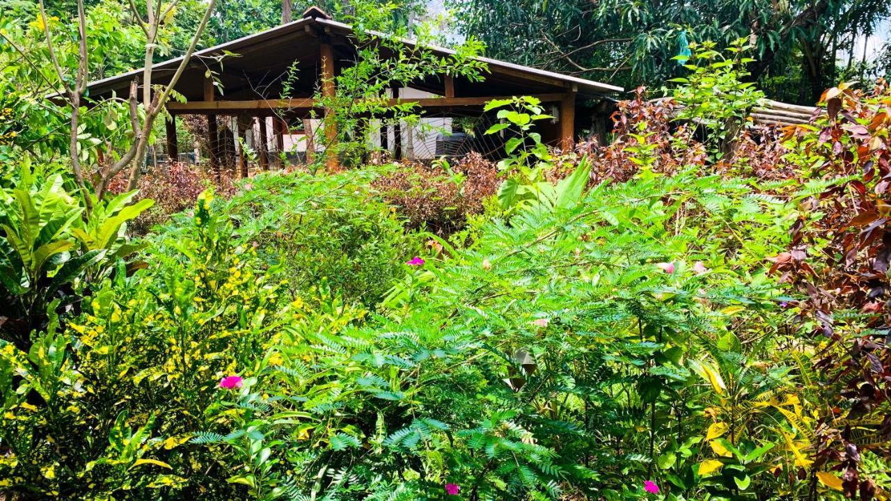 Sigiri Starwing Villa Sigiriya Exterior foto
